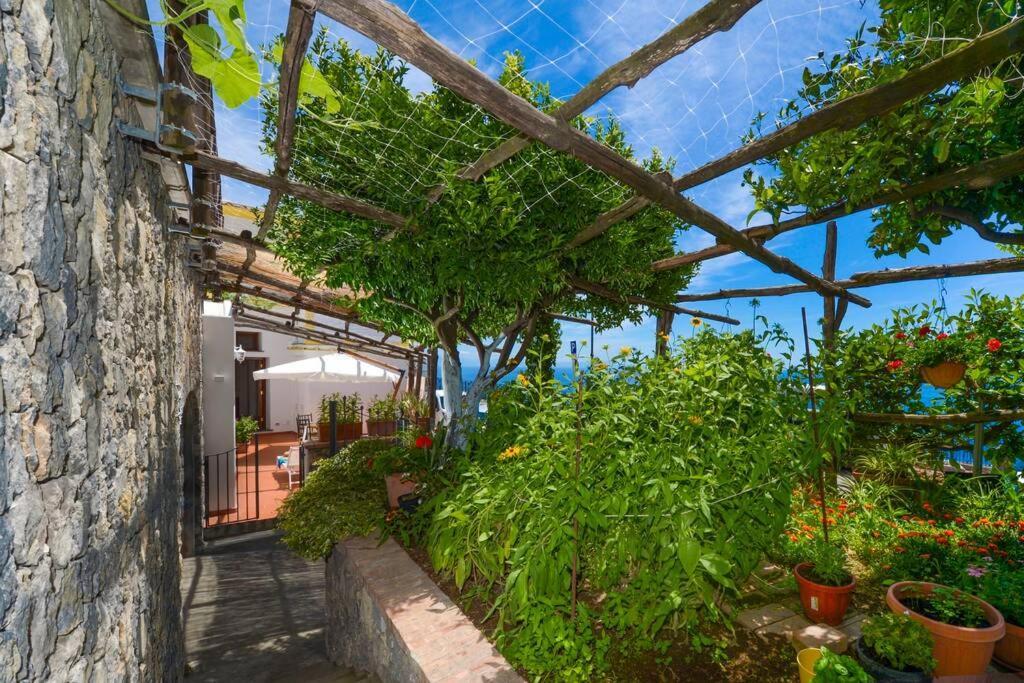 Casa La Verbena Băile Herculane Dış mekan fotoğraf